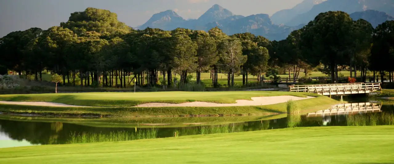 Clubs de golf