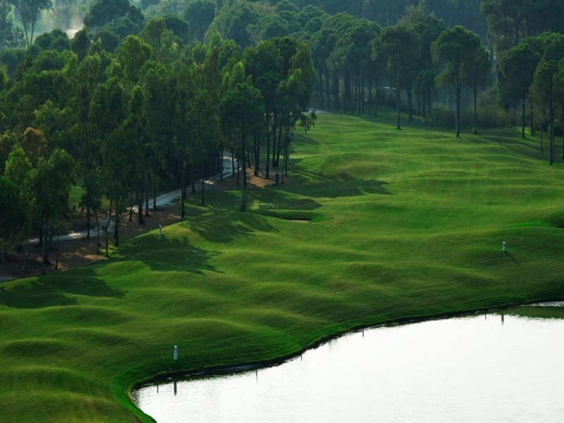 Terrain de golf Pines