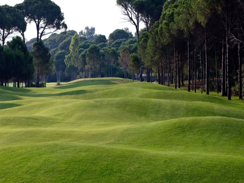 Terrain de golf Pines