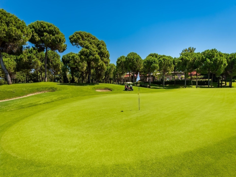 L'Académie de golf Leadbetter