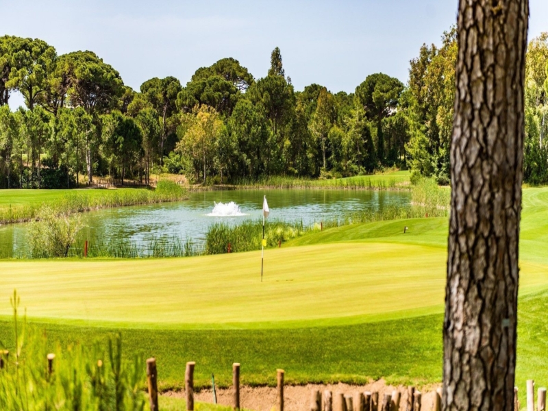 L'Académie de golf Leadbetter