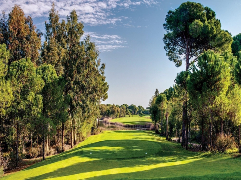 L'Académie de golf Leadbetter