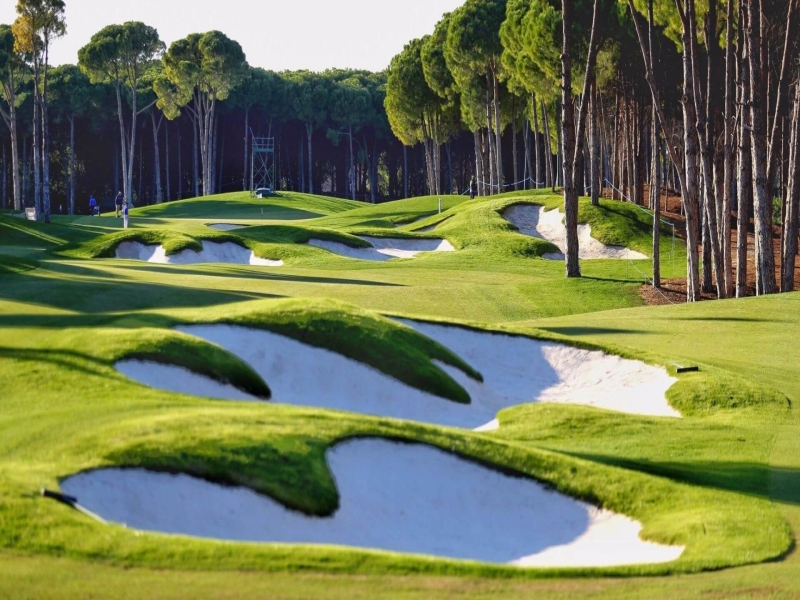 Académie de golf Carya