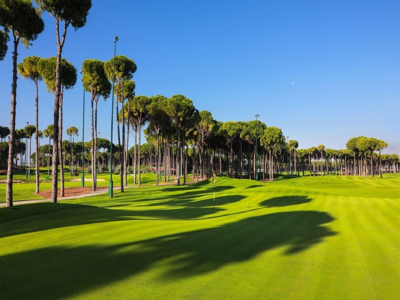 Académie de golf Carya