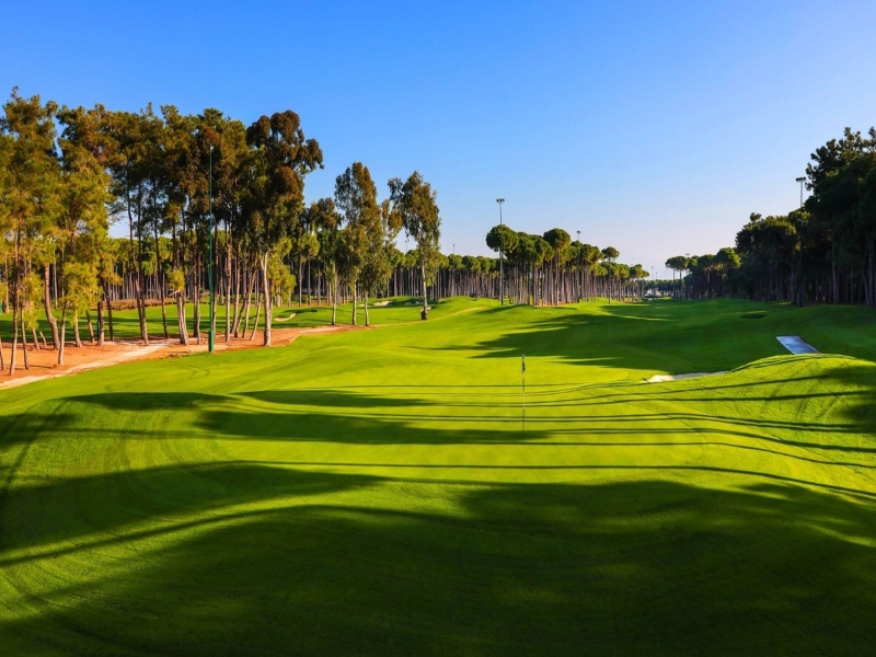 Académie de golf Carya
